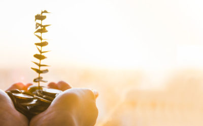 Confindustria Cisambiente: col Recovery regole certe per bonifiche & c