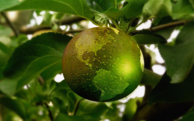 Rifiuti, servono 8 miliardi per i buchi impiantistici al Sud